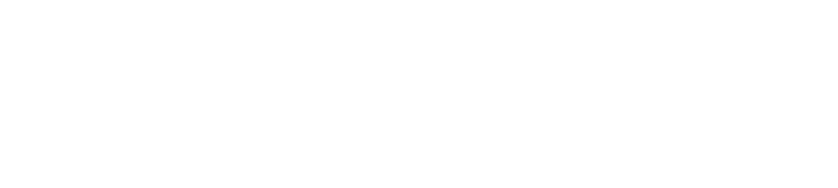 Shin-ei Spirit