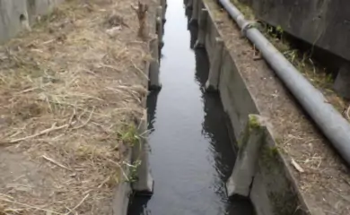清掃後の様子