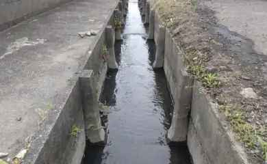 清掃後の様子
