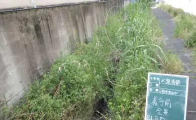 清掃前の様子