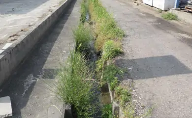 清掃前の様子